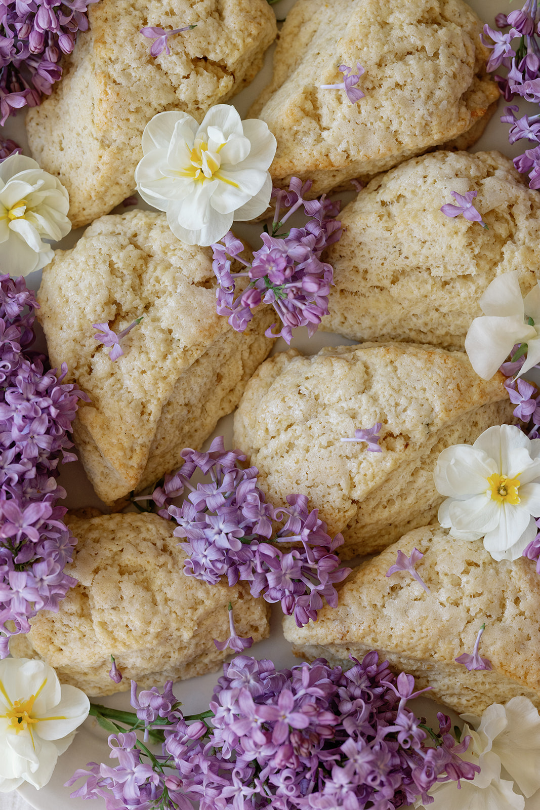 Sourdough Lilac Cream Scones